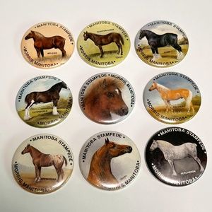 Morris Manitoba Stampede Set of 9 Souvenir Pin Back Buttons Horses